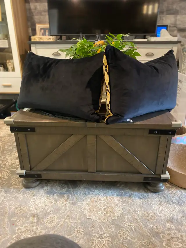Decorative pillows597335084337745922