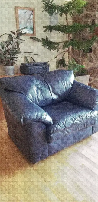 fauteuil en cuir, View more