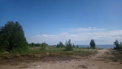 We have a waterfront off grid property in Manitoulin Island … there are matured trees you can use to...