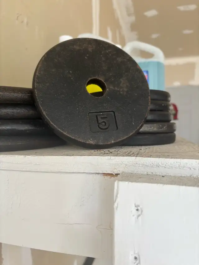 Barbell Set with Plates – Good Condition – $45 (Pickup Only) in Exercise Equipment in Edmonton - Image 2