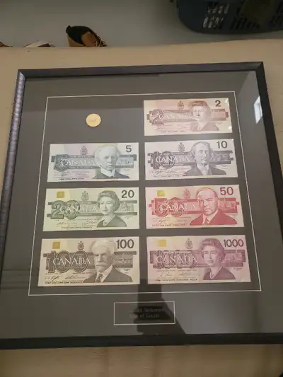 Birds of Canada framed money set