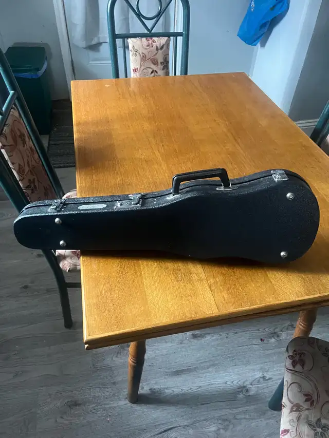 Violin  & Case65561399225858124