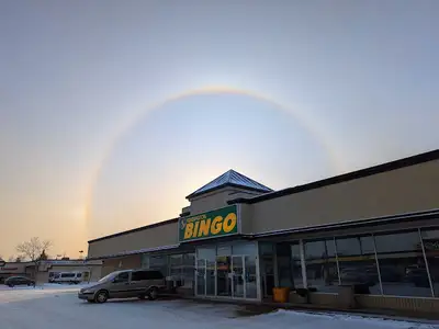 Cook: Kensington Bingo, View more