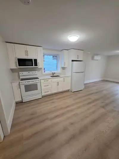 New downtown apartment boasts 1 bedroom and 1 bathroom, perfect for comfortable living. Walking dist...