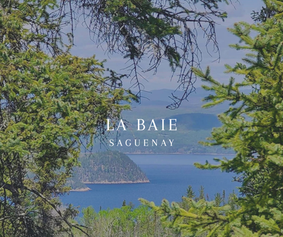 Située sur le boulevard de la Grande-Baie Sud, cette vaste propriété boisée de 49 700 m² | 534 966 p...