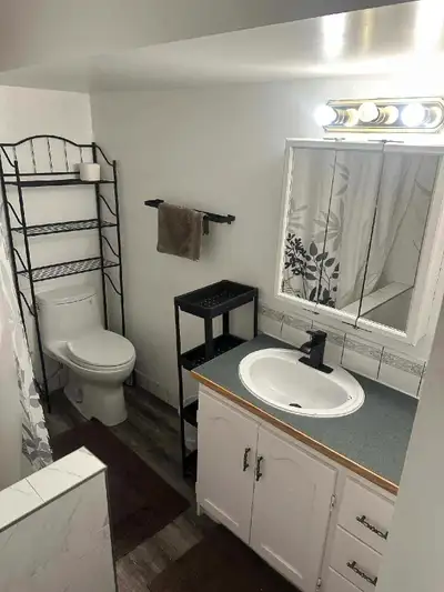 Basement Suite