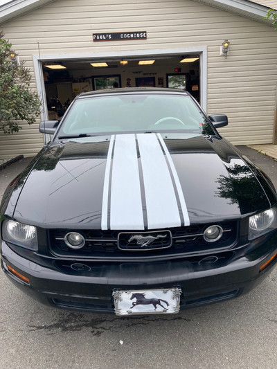 2009 Ford Mustang Coupe 