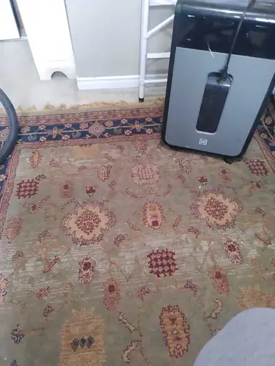 Traditional Patterned Area Rug, View more