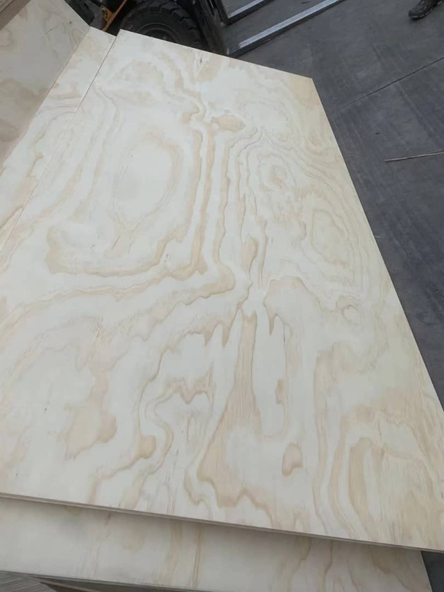 3/4” (18mm)  plywood 4’x8’x3/4” in Floors & Walls in Mississauga / Peel Region - Image 2