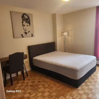 Furnished Room for rent located at the second floor of a gorgeous freshly renovated townhouse near D...