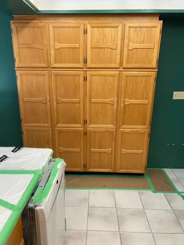Professional painter65669420946818122