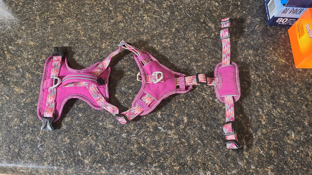 Full control dog harness  in Accessories in St. John's - Image 4