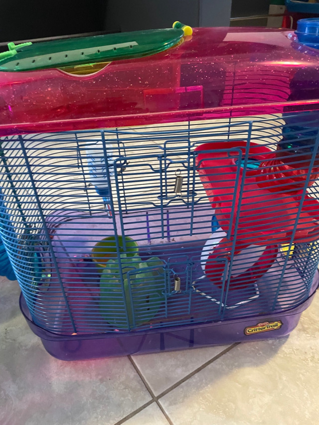 2 Hamster and 2 Bird cage  in Accessories in Kawartha Lakes - Image 2