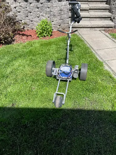 Voiturette de golf le tronc Maddy avec porte parapluie et chargeur et batterie