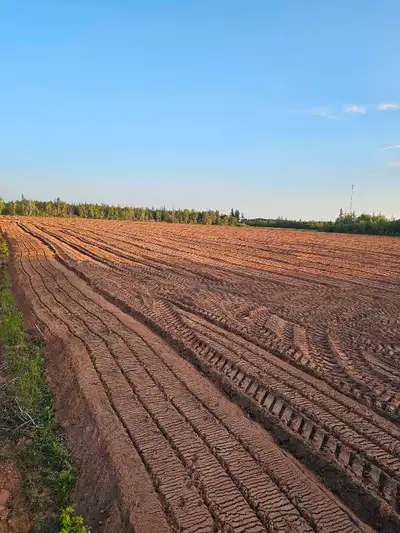 We offer a wide variety of mulching options for small scale projects to large 100+ acre projects. We...