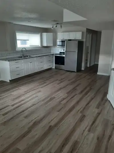 2 bedroom basement with kitchen and laundry util Inc cable, wifi