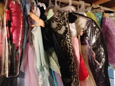 Tons of dresses Elsa ,Anna tons of different ones 15$ or 20 per dress. 4 to 10 years old. Location N...
