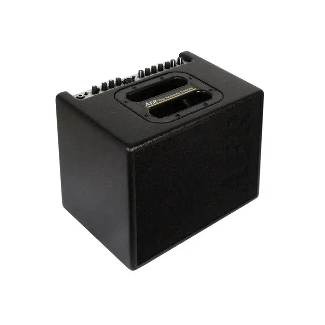 AER AMPS  finally back in Canada . in Amps & Pedals in Mississauga / Peel Region - Image 4