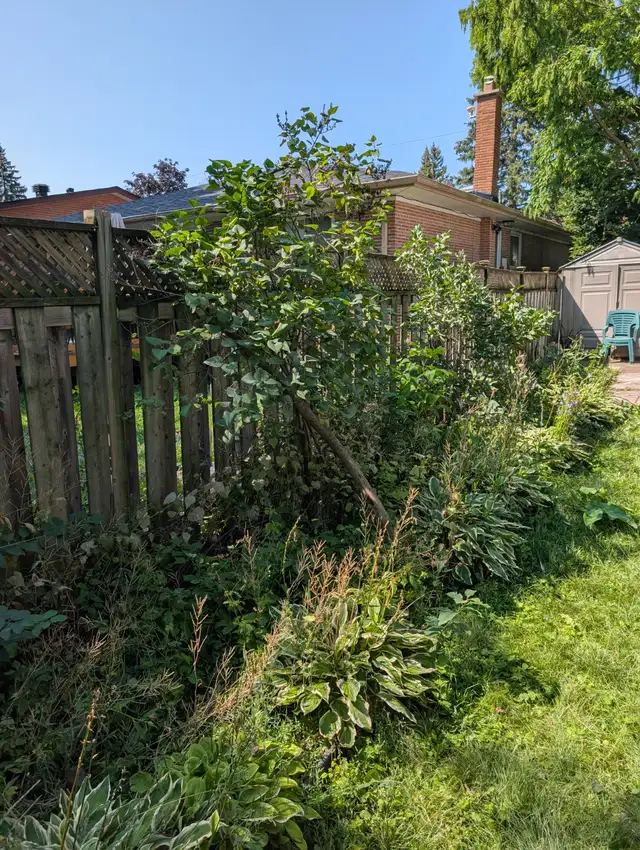 Gardening Services537541463622952963