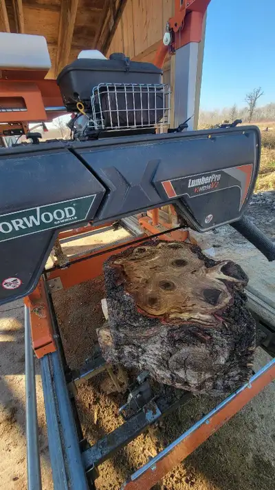 Live edge wood cutting , View more