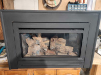 Heat & Glo fireplace insert
