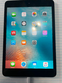 iPad mini (1st gen) 64gb