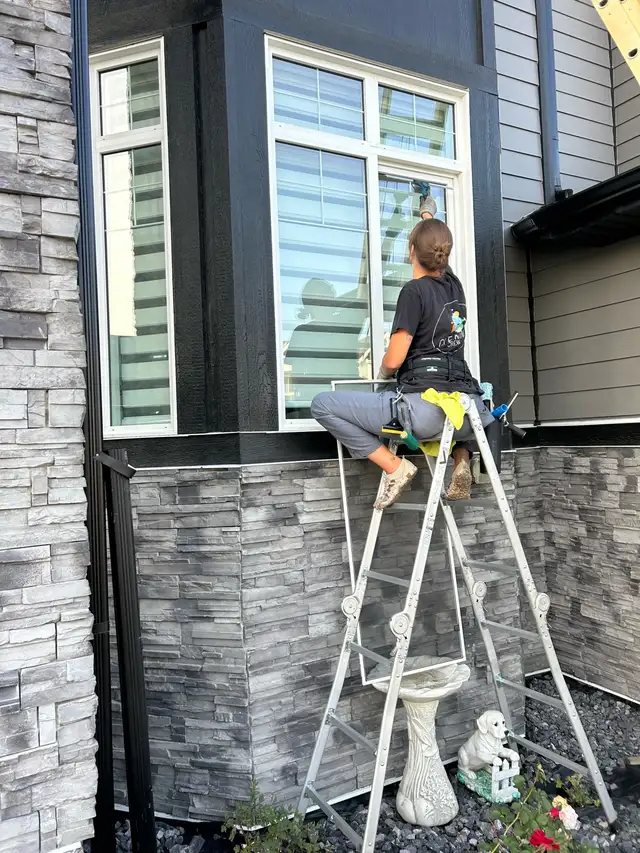 window cleaning 445588690615685122