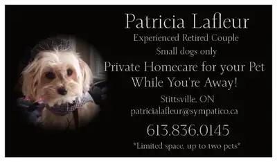 Private Pet Sitter, View more