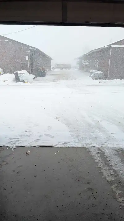 I am Looking for a house or apartment for rent min 3 bedrooms Friend and i are leaving bad relations...