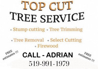 TOP CUT TREE SERVICE | TREE REMOVAL | STUMP REMOVAL | LANDCAPING