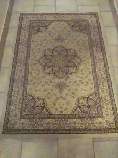Traditional Area Rug, View more