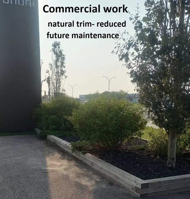 Top quality yardwork at a great value, based central NE533919362576568322