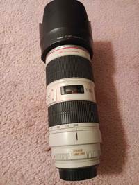 Canon EF 70-200mm f/2.8L IS  II  USM Telephoto Zoom Lens