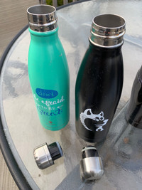 Two stainless steel bottles 