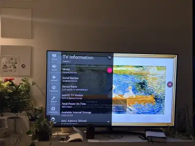 TV LG Smart NanoCell 55 inch, View more