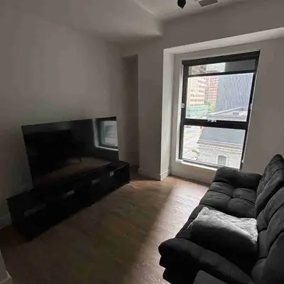 Lease transfer available for a furnished one bedroom apartment, in the heart of downtown Montréal, s...