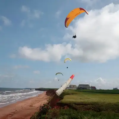 Have You Ever Dreamed About Being Able to Fly ?, View more
