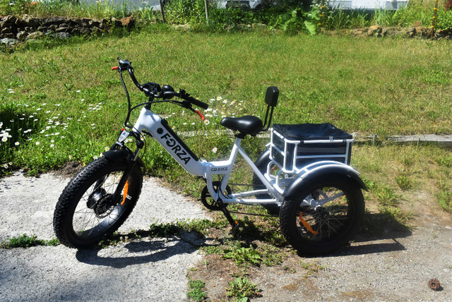FORZA ADULT ELECTRIC TRICYCLE FOR SALE (BRAND NEW) in Other in Penticton - Image 4