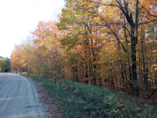 Waterfront Lot appx 3.4 AC in Nipissing Ont. year-round road in Land for Sale in North Bay - Image 5