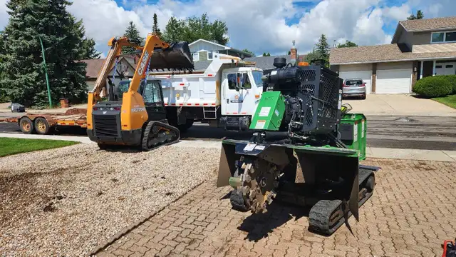 Quality Low Cost Stump Grinding in Lawn, Tree Maintenance & Eavestrough in Saskatoon - Image 8