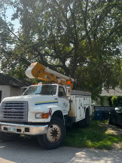 ALLIED TREE SERVICE 431 337 0116 Licensed & Insured Arborist 35 Years + Specializing in Dangerous Tr...