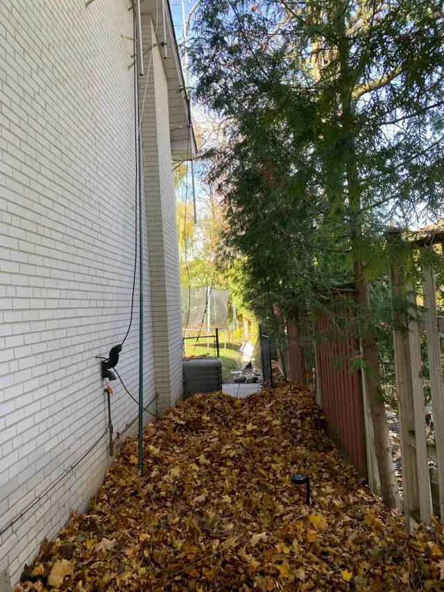 Lawn care + Yardwork in Lawn, Tree Maintenance & Eavestrough in City of Toronto - Image 8