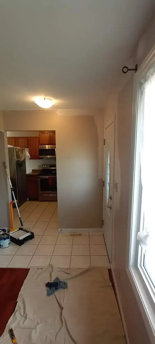 painter/ handyman available 525303458081034241