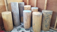 Fir slabs and logs for projects