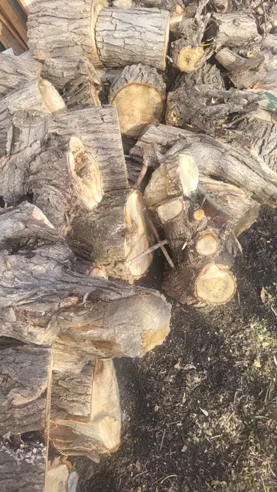 Free firewood, View more