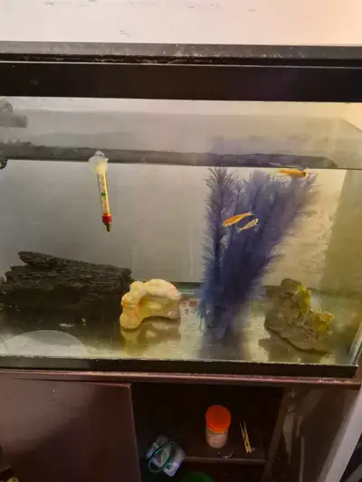 Aquarium, View more