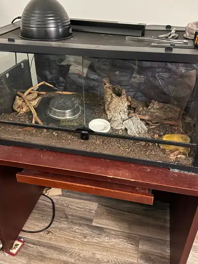 40 gallon front opening reptile enclosure, View more