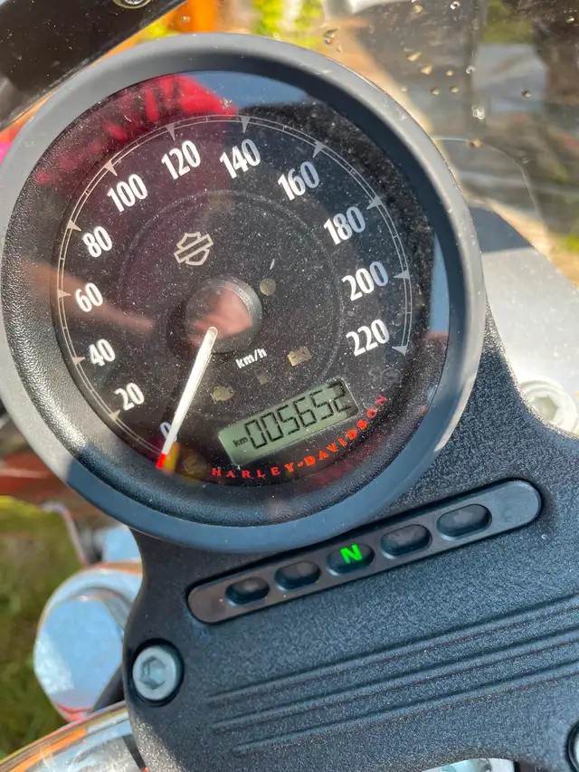 2016 Harley Davidson 883 Sportster in Street, Cruisers & Choppers in Saint John - Image 6