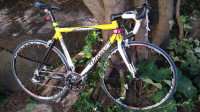 Road bicycle Wilier (Italy)