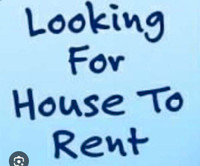 Looking for rent 